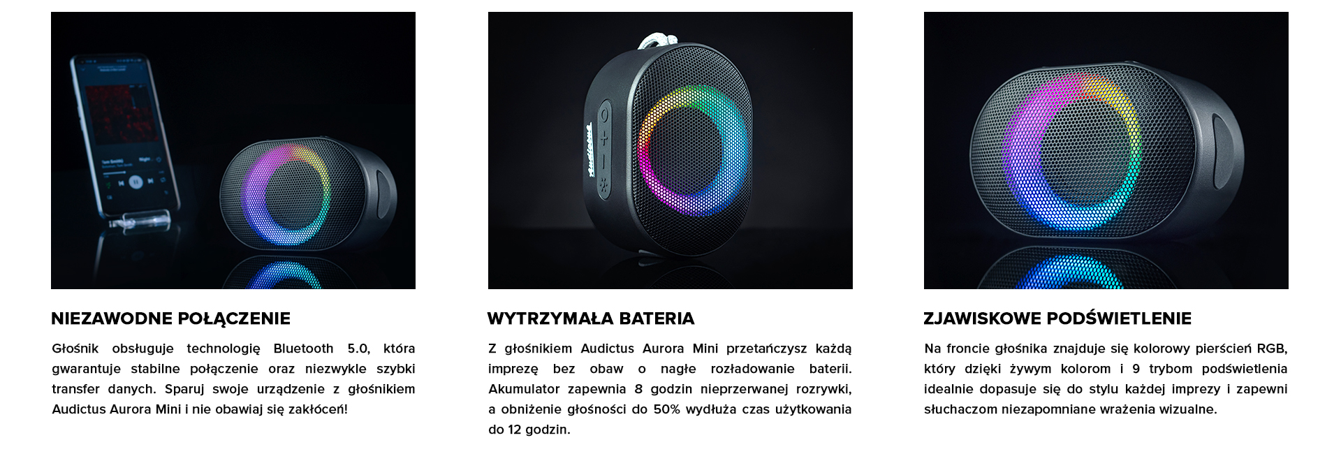 Podpunkty - Audictus Aurora Mini